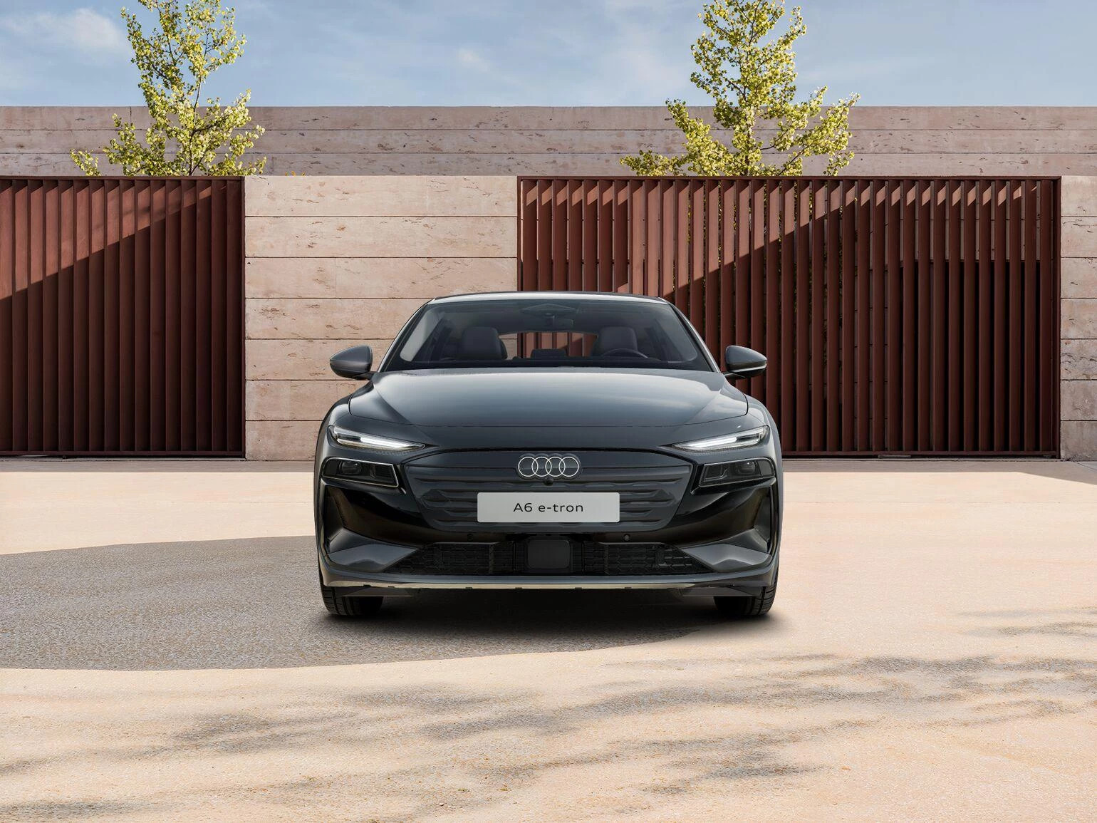 Hoofdafbeelding Audi A6 Avant e-tron