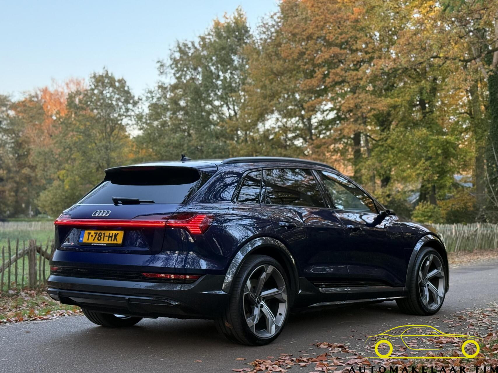 Hoofdafbeelding Audi e-tron