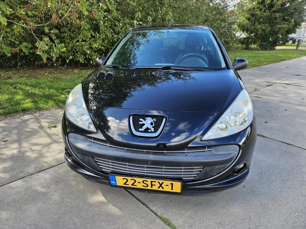 Hoofdafbeelding Peugeot 206