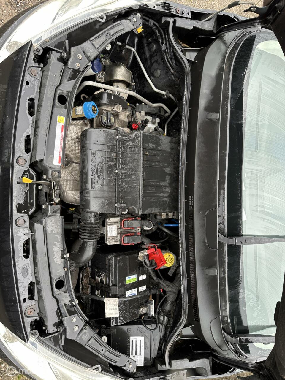 Hoofdafbeelding Ford Ka