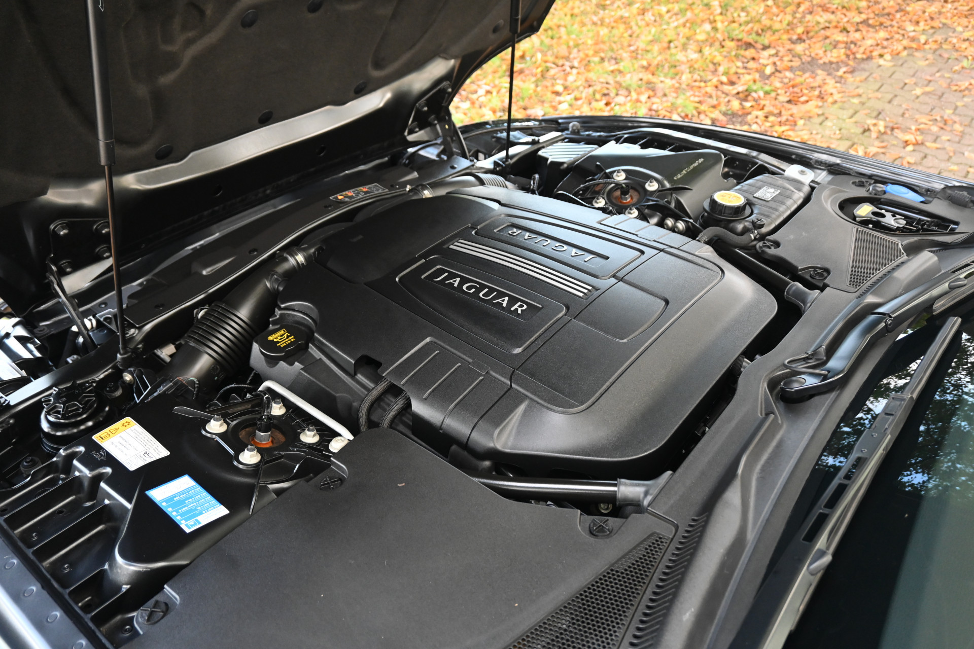 Hoofdafbeelding Jaguar XK