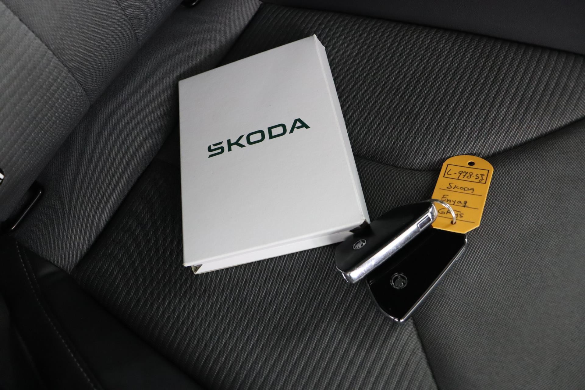 Hoofdafbeelding Škoda Enyaq iV