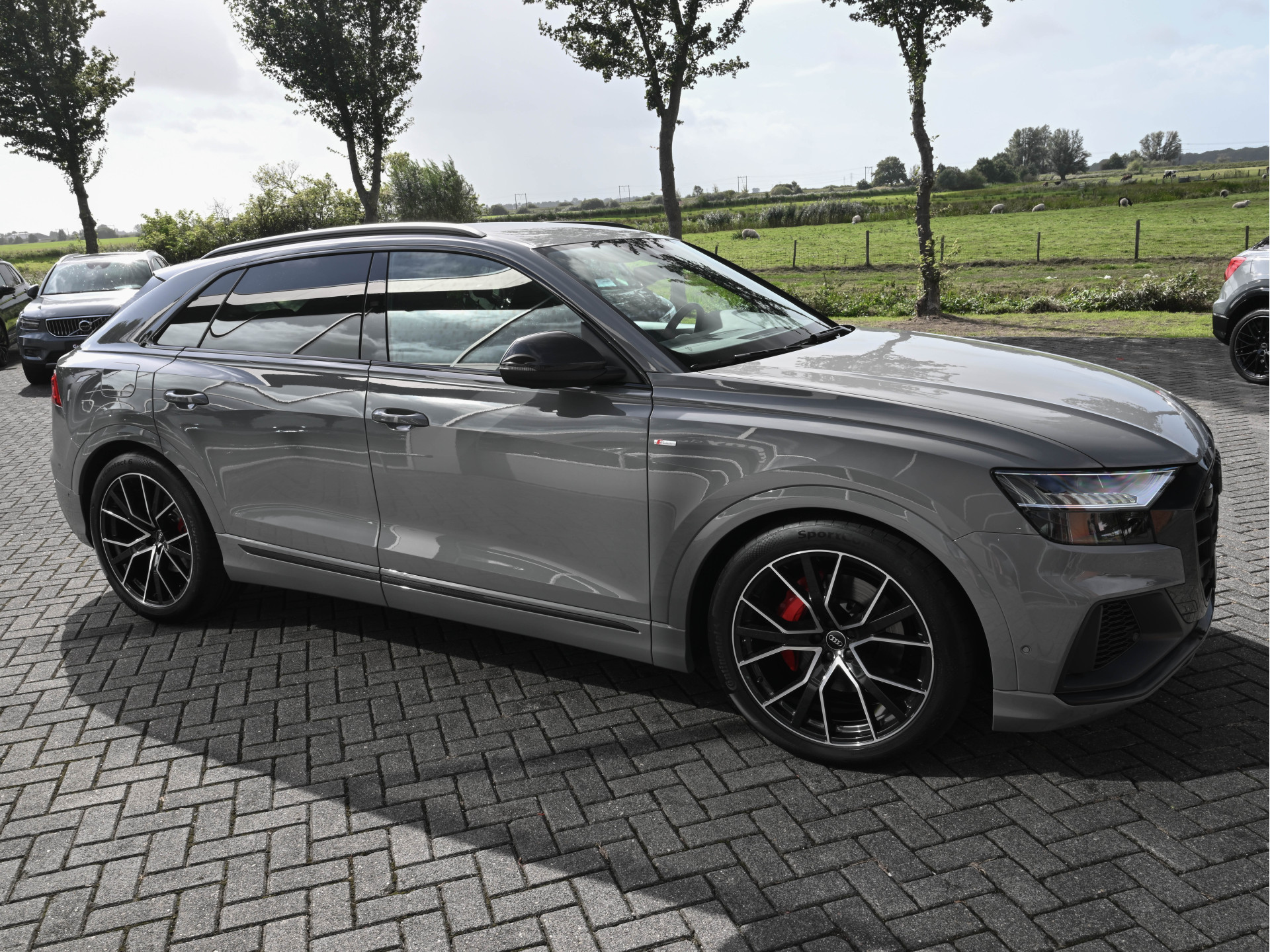 Hoofdafbeelding Audi Q8