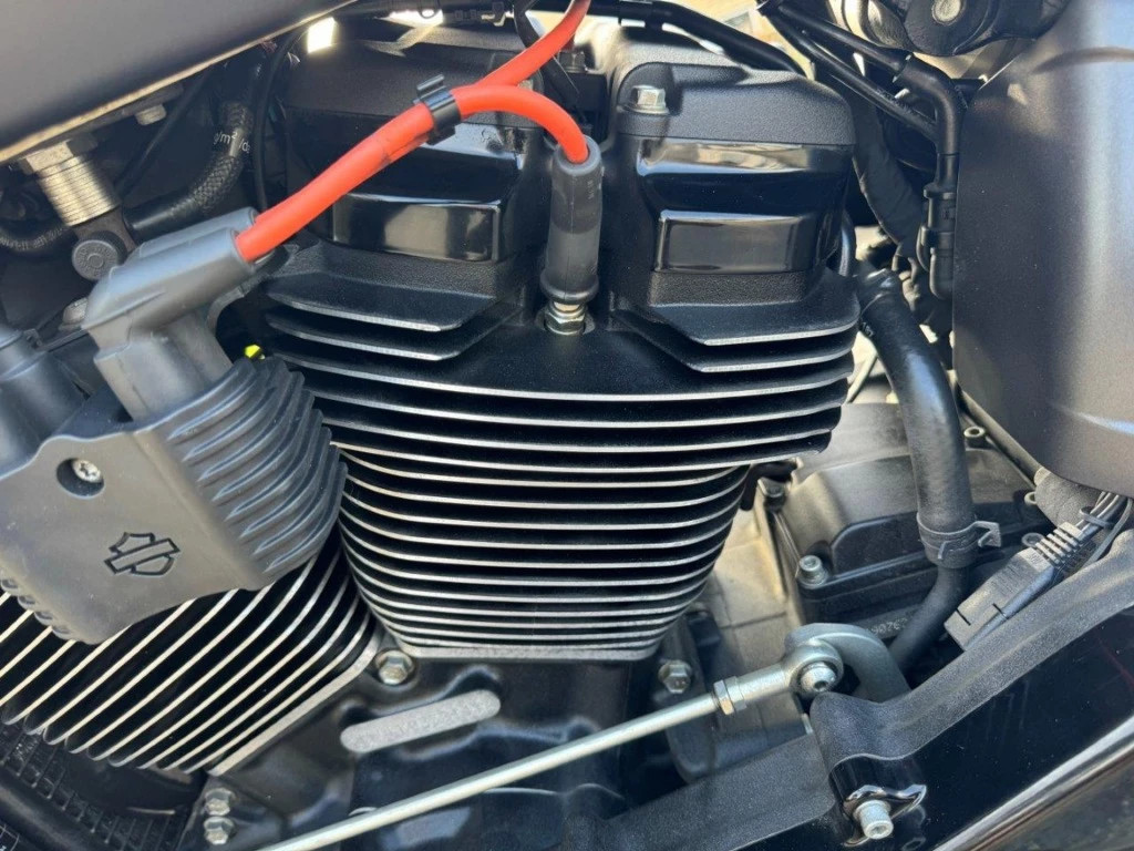 Hoofdafbeelding Harley-Davidson Softail