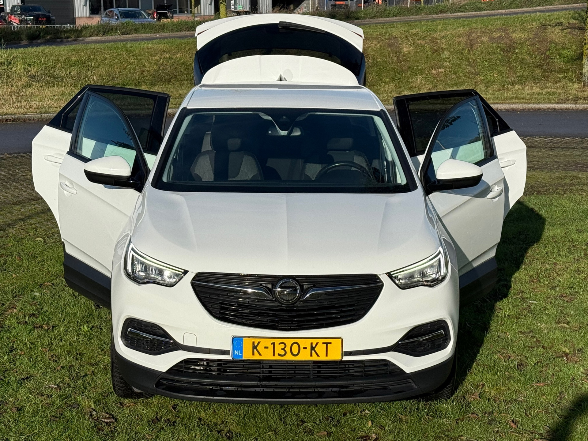 Hoofdafbeelding Opel Grandland X
