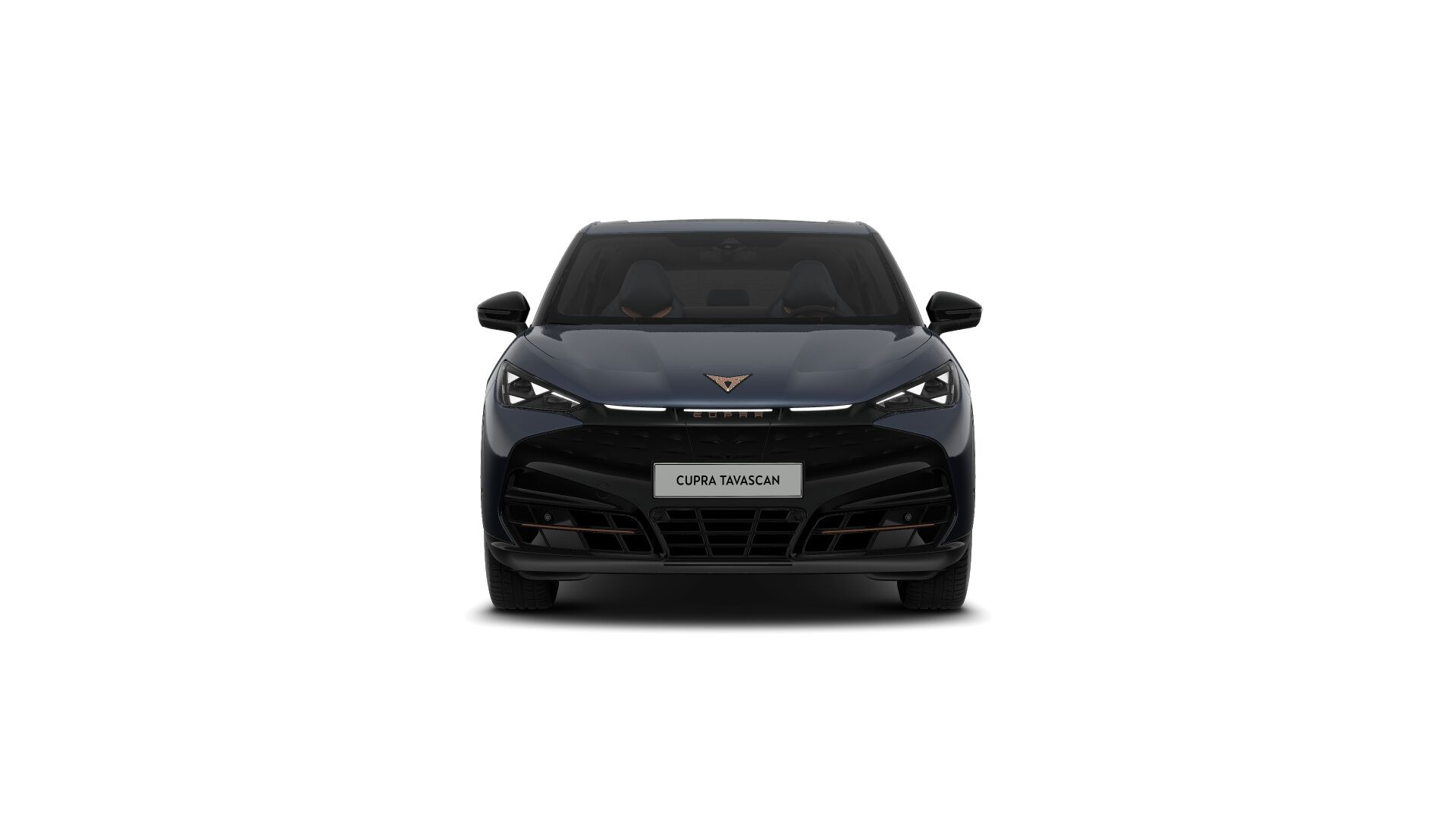 Hoofdafbeelding CUPRA Tavascan