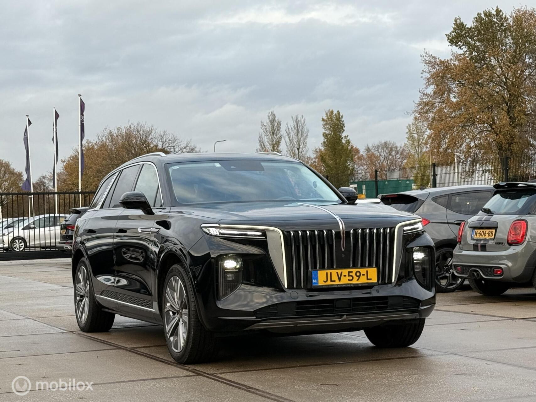 Hoofdafbeelding Hongqi E-HS9