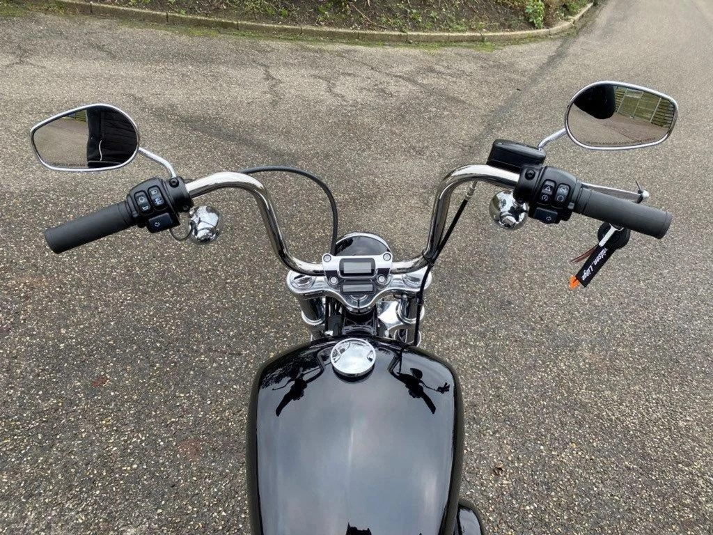 Hoofdafbeelding Harley-Davidson Softail