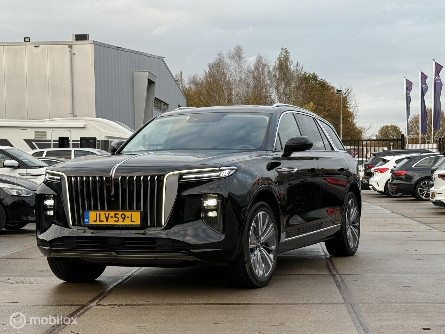 Hoofdafbeelding Hongqi E-HS9