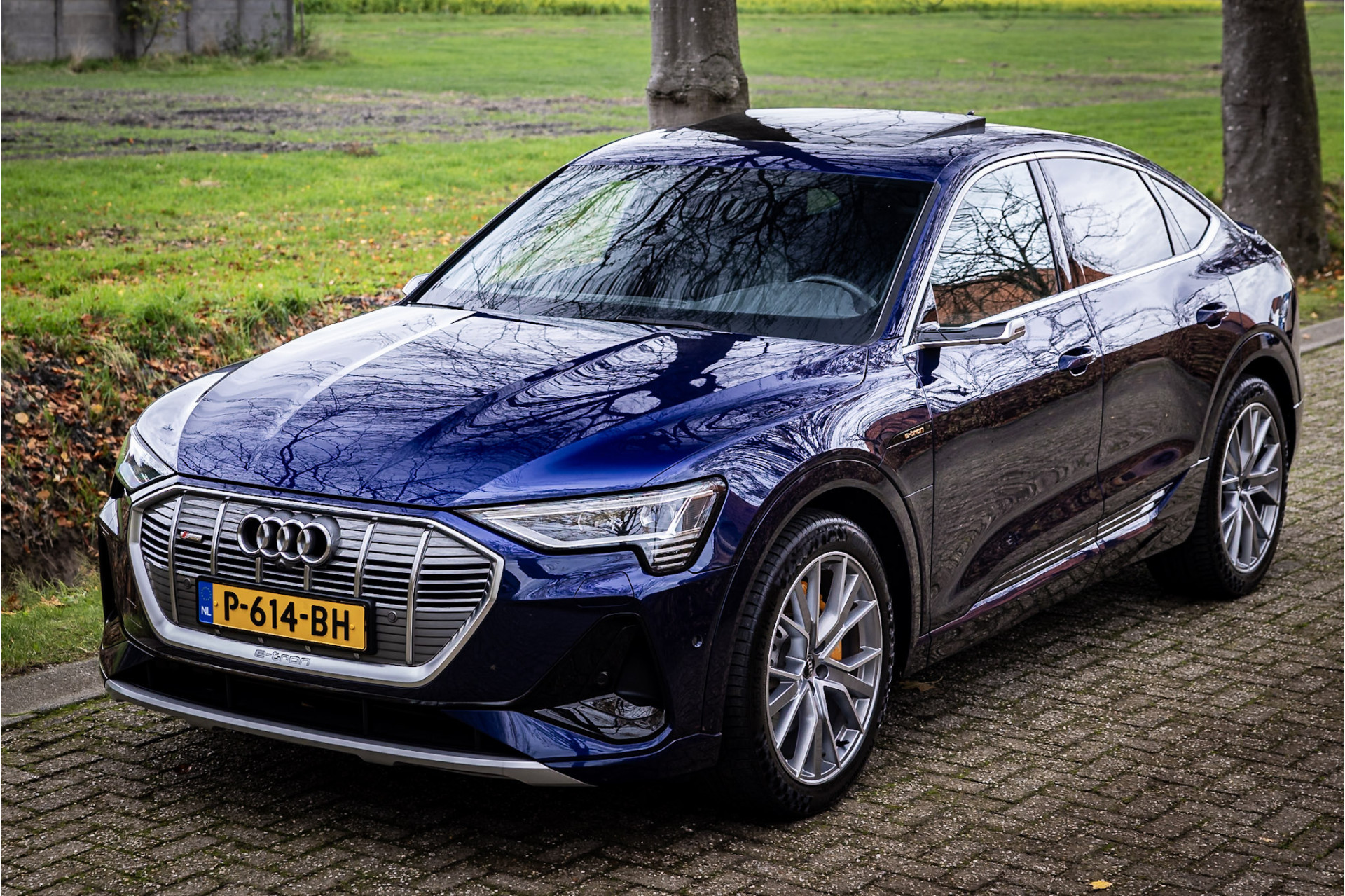 Hoofdafbeelding Audi e-tron