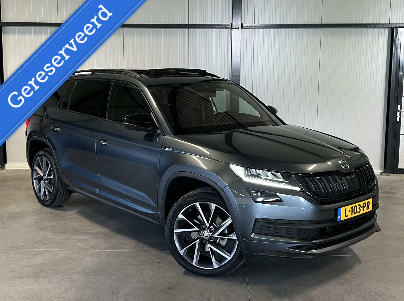 Hoofdafbeelding Škoda Kodiaq