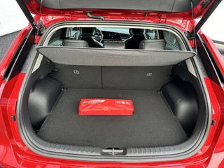 Kia Niro EV Kia Niro EV DynamicPlusLine 64.8 kWh - afbeelding nr 21