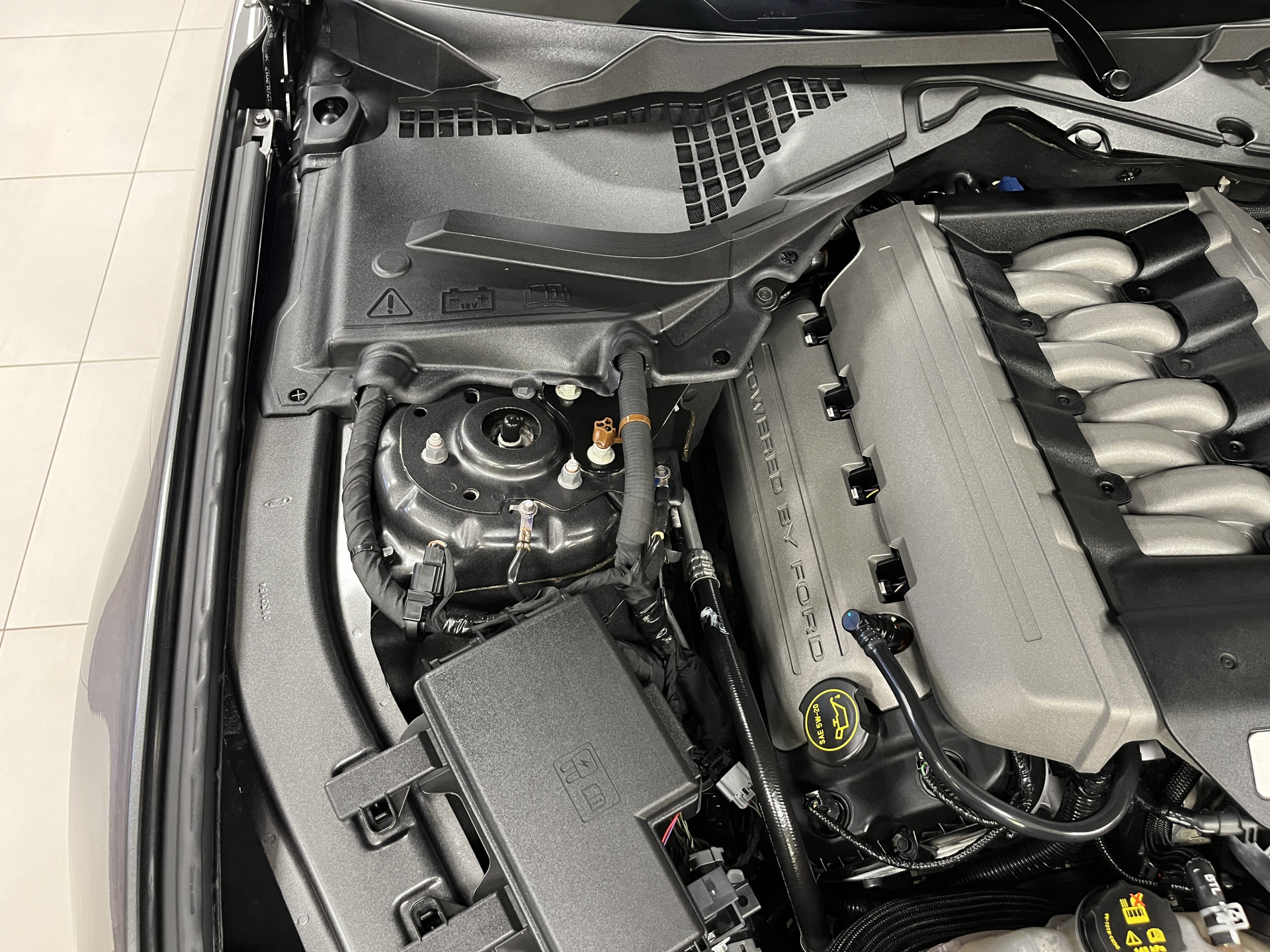 Hoofdafbeelding Ford Mustang