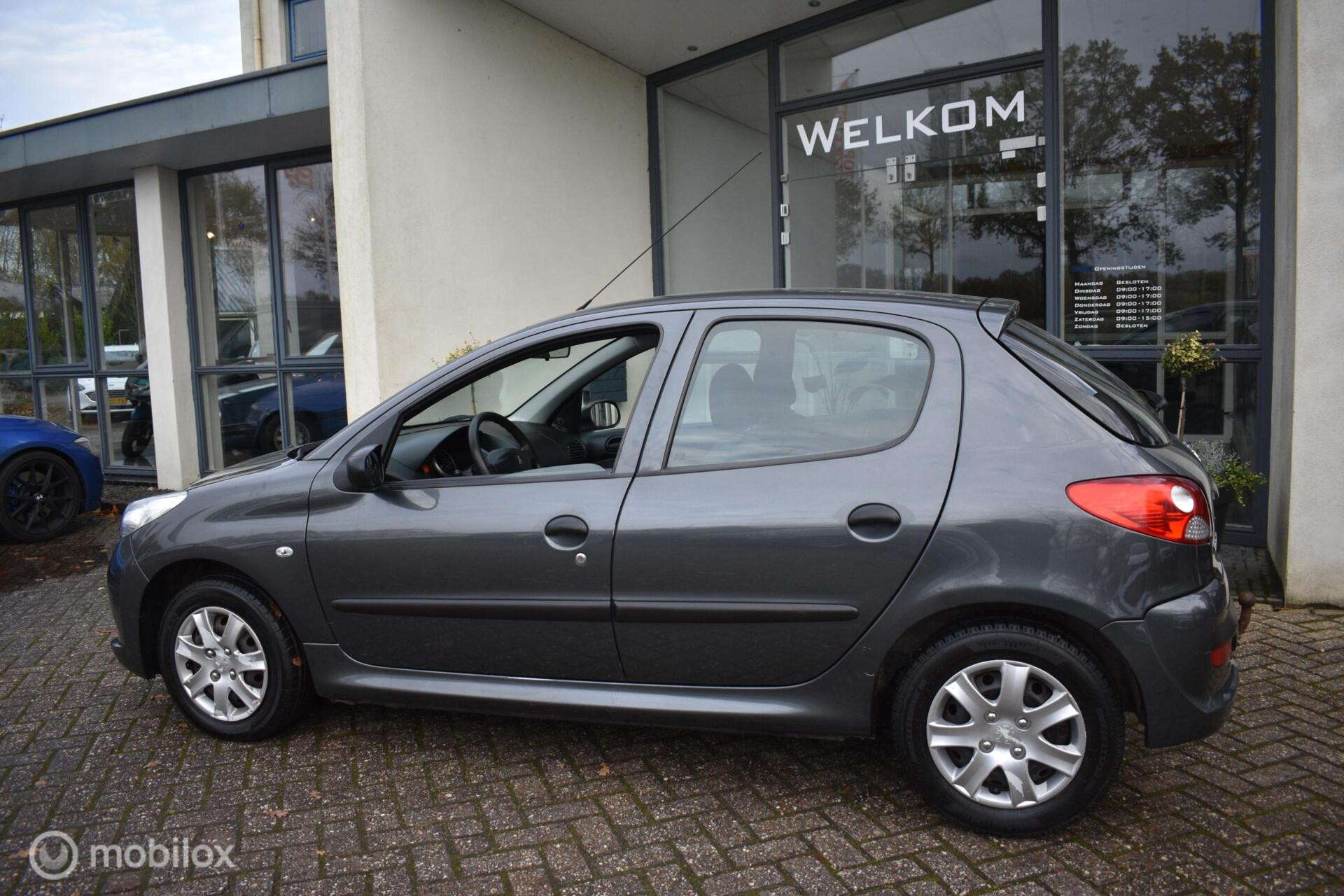 Hoofdafbeelding Peugeot 206