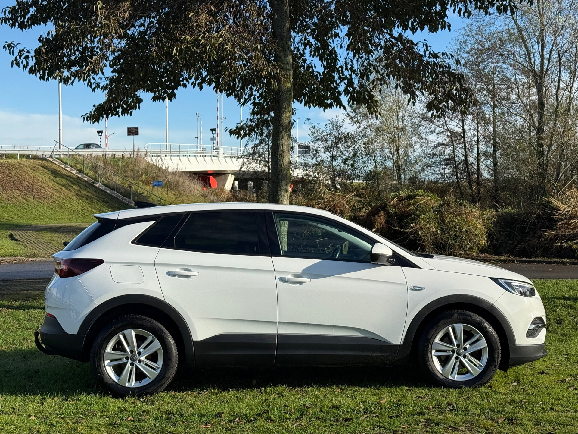 Hoofdafbeelding Opel Grandland X