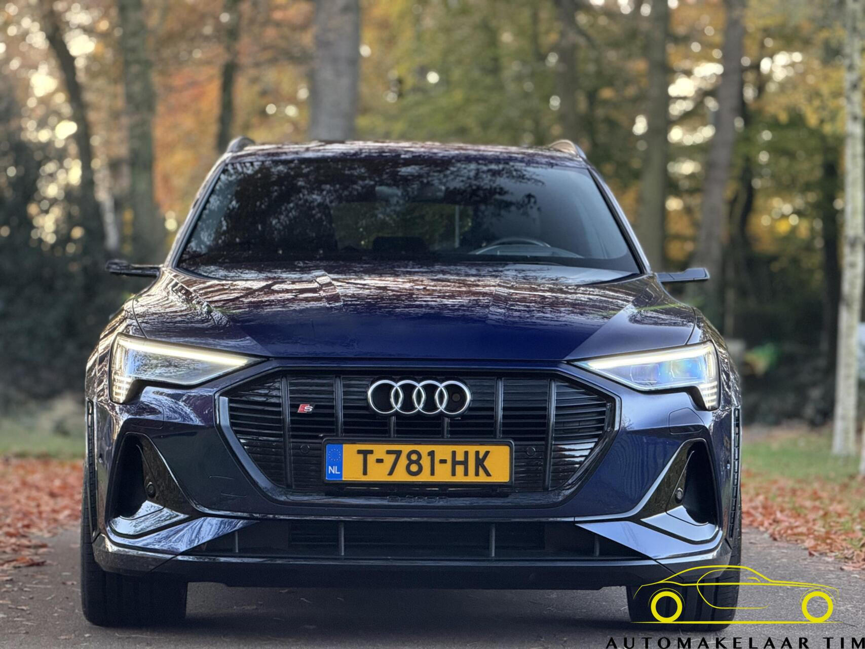 Hoofdafbeelding Audi e-tron