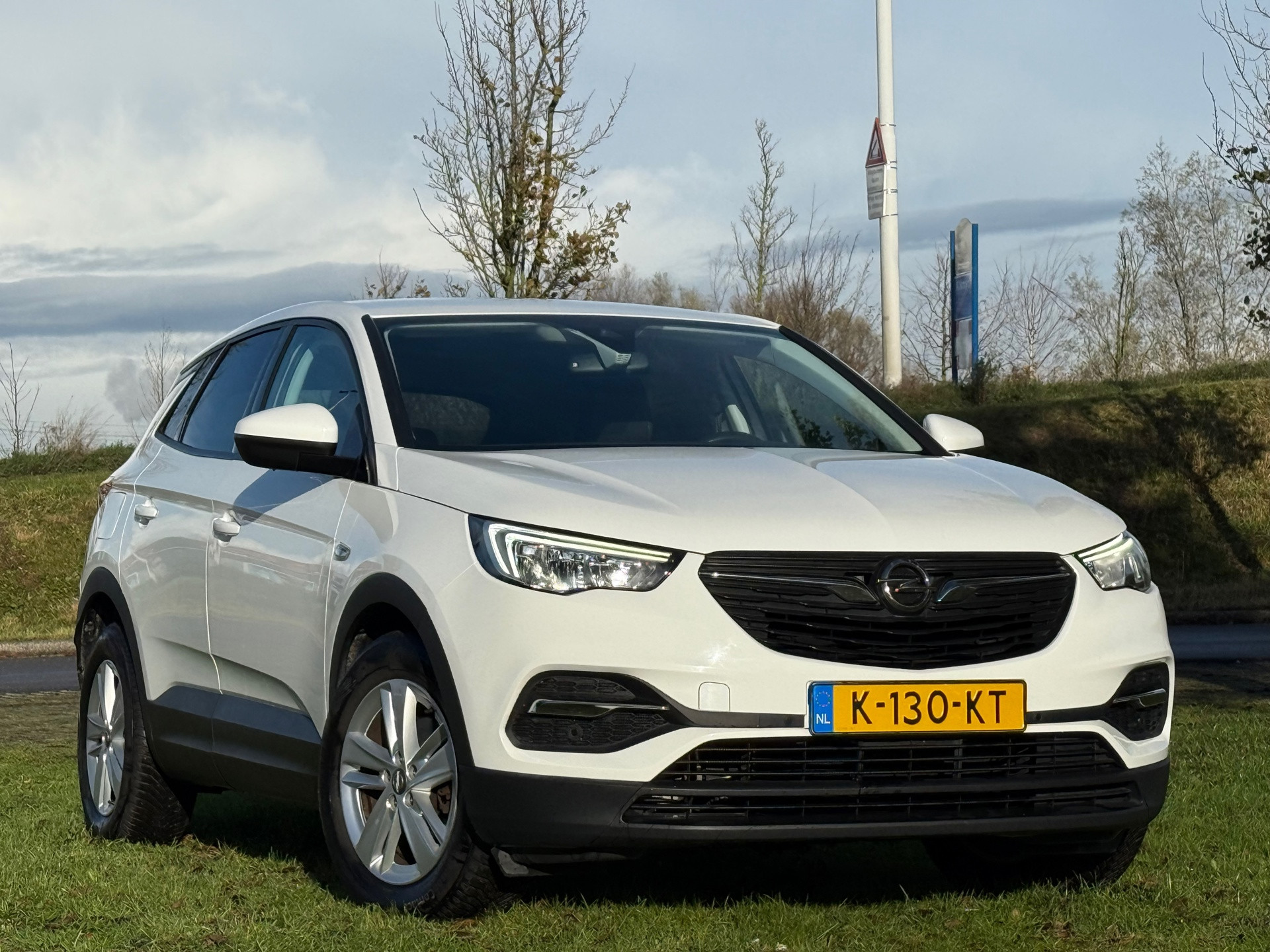 Hoofdafbeelding Opel Grandland X
