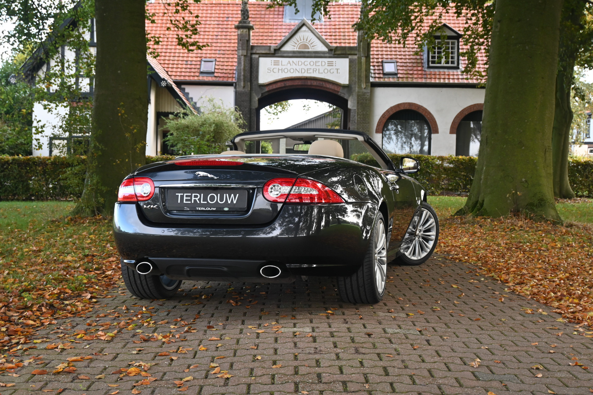 Hoofdafbeelding Jaguar XK
