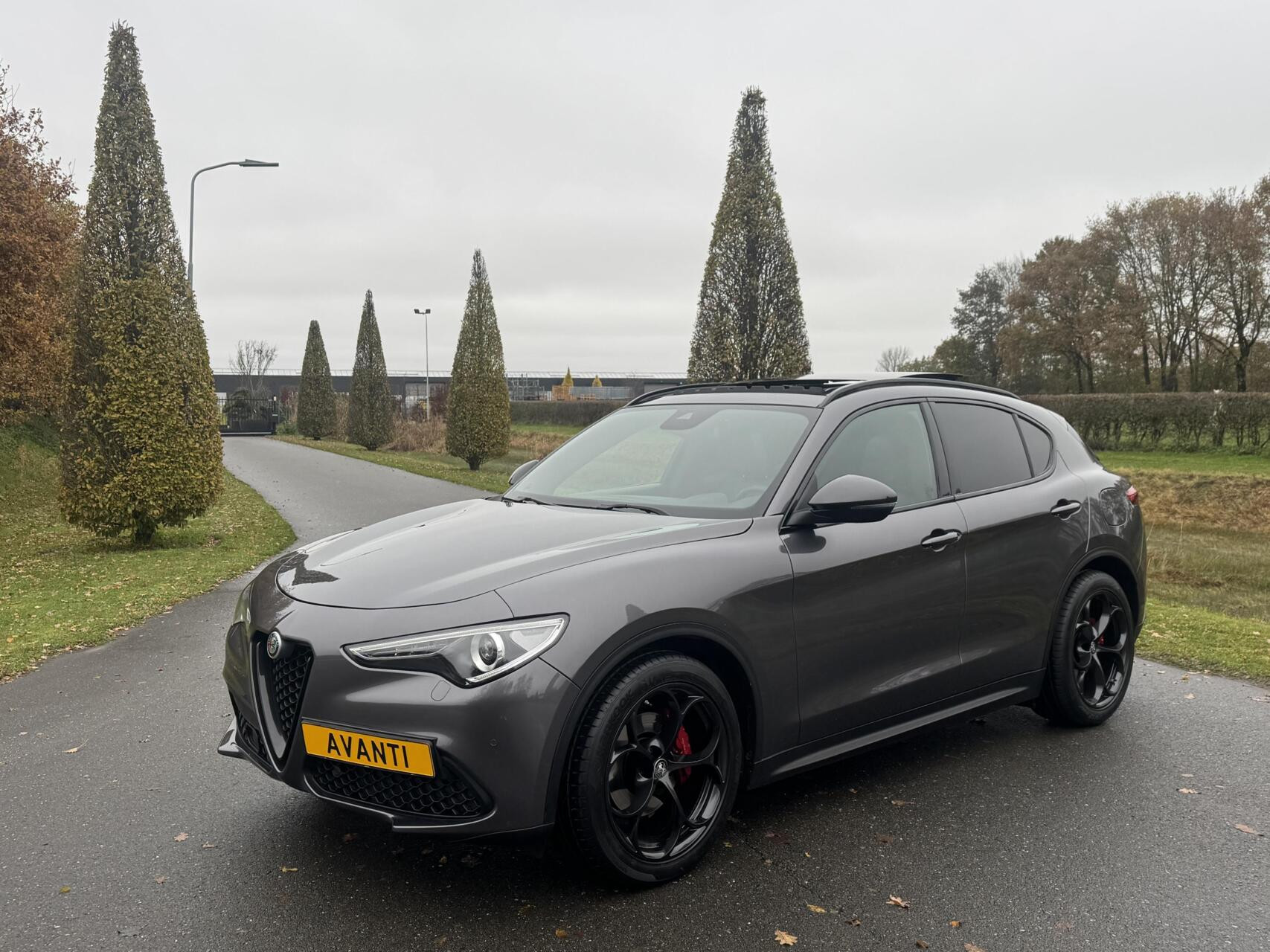 Hoofdafbeelding Alfa Romeo Stelvio
