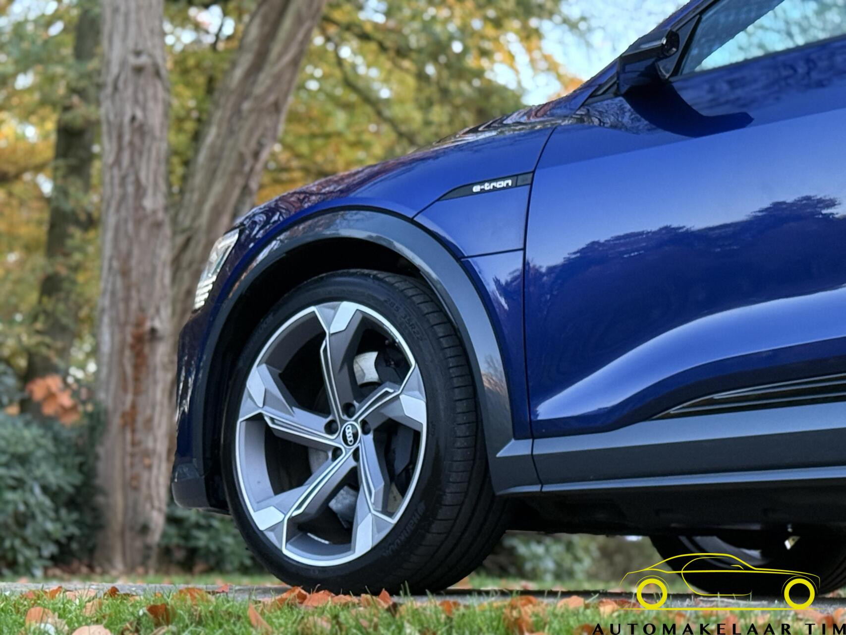 Hoofdafbeelding Audi e-tron