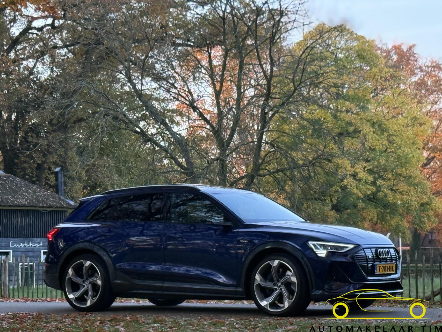 Hoofdafbeelding Audi e-tron