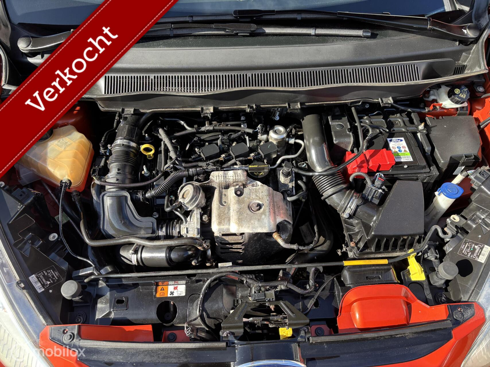 Hoofdafbeelding Ford B-MAX