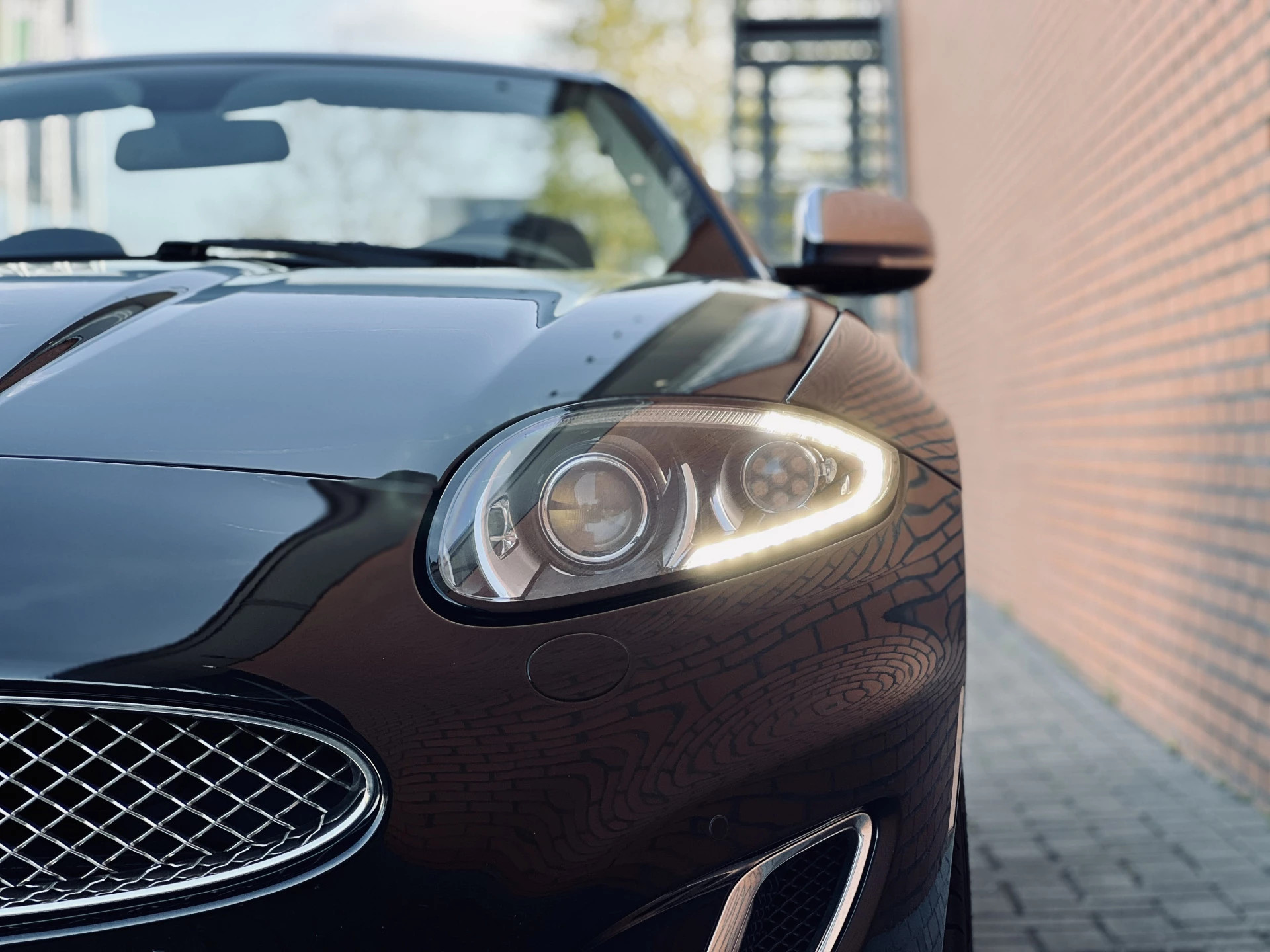 Hoofdafbeelding Jaguar XK