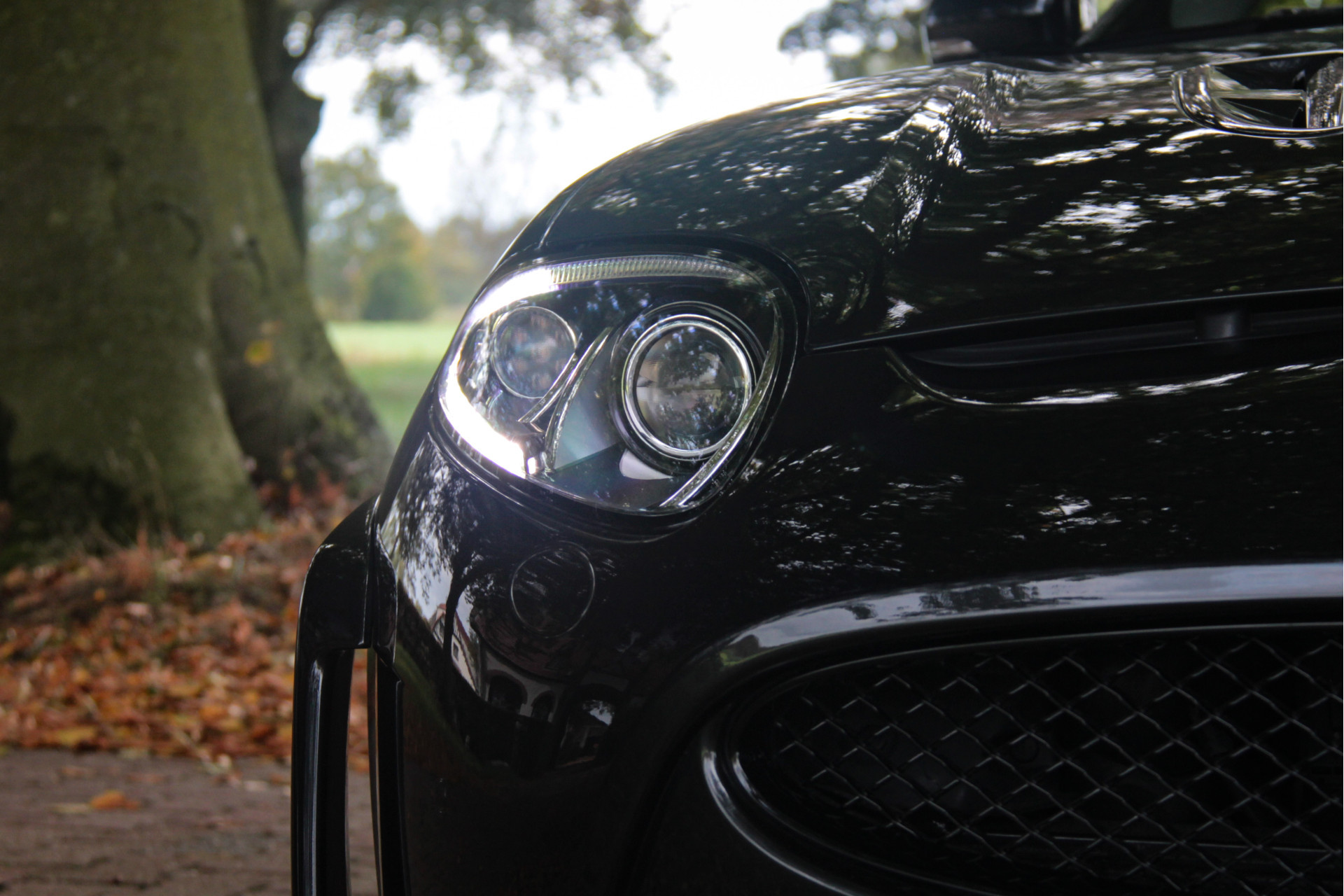 Hoofdafbeelding Jaguar XK