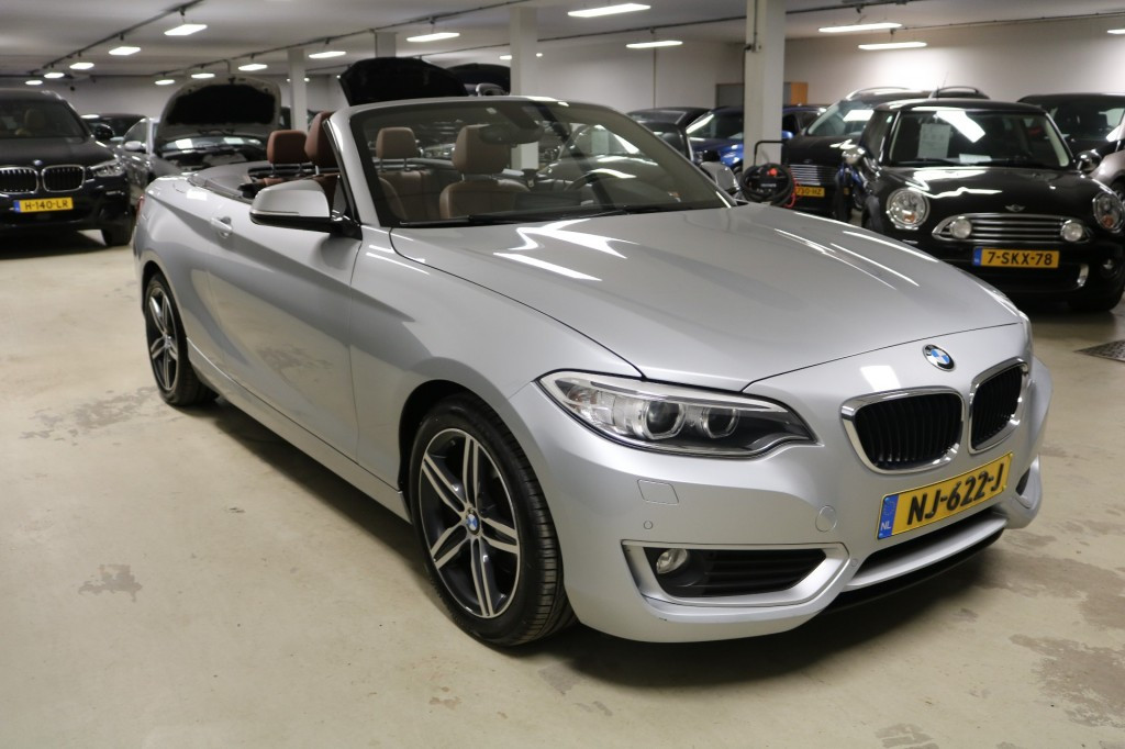 Hoofdafbeelding BMW 2 Serie