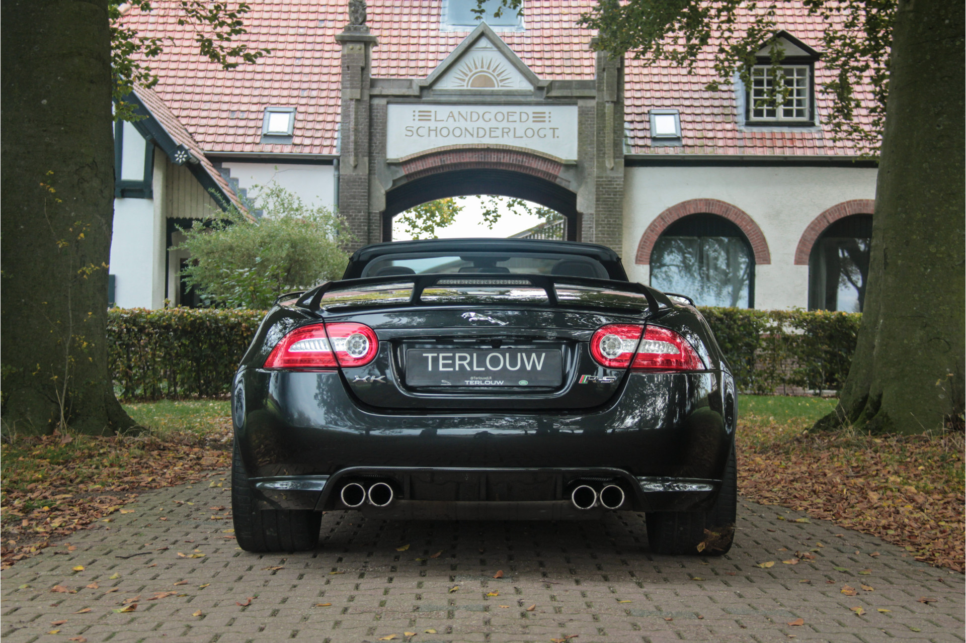 Hoofdafbeelding Jaguar XK